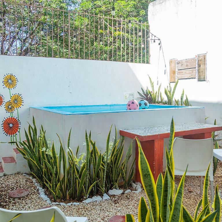 Estudios con Alberca-Cocina Privadas en Zona Norte - Studio with Pool View - 4