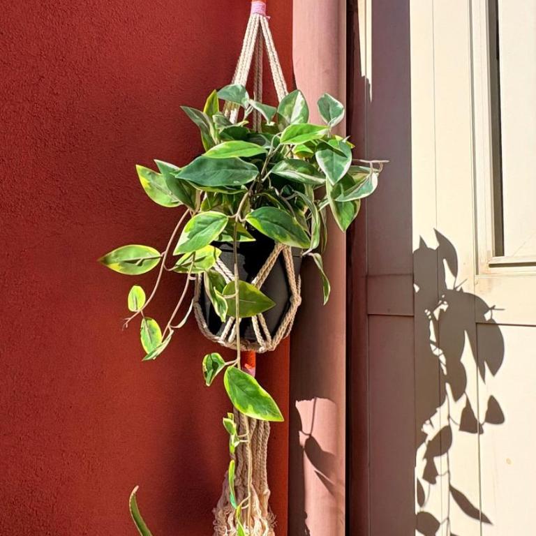 Rooftop Penthouse 3BR Sleeps 6 Historic Catania - Two-Bedroom Apartment - 27