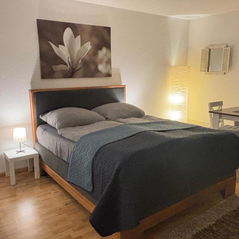 Panorama-Haus Appartment PFÄNDER - Bergblick, Badezimmer, Kitchenette, eigene Sonnenterrasse - Studio-Apartment - 6