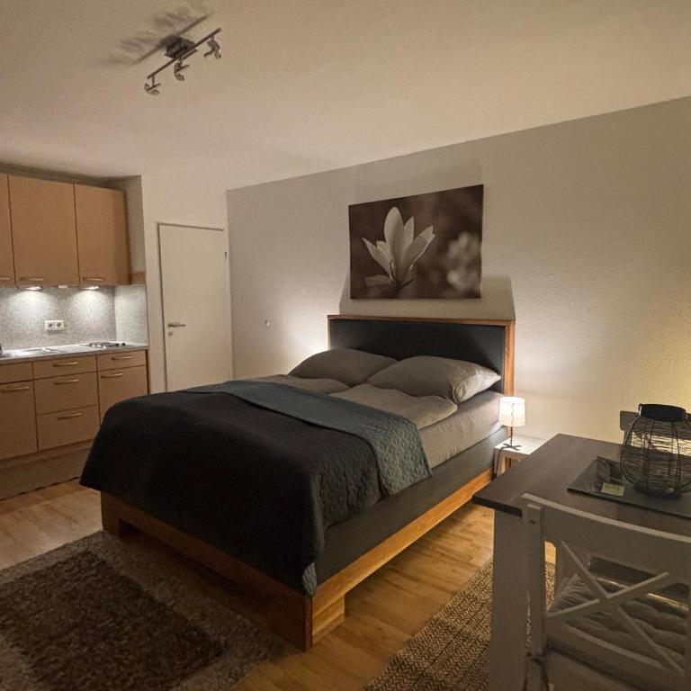 Panorama-Haus Appartment PFÄNDER - Bergblick, Badezimmer, Kitchenette, eigene Sonnenterrasse - Studio-Apartment - 5
