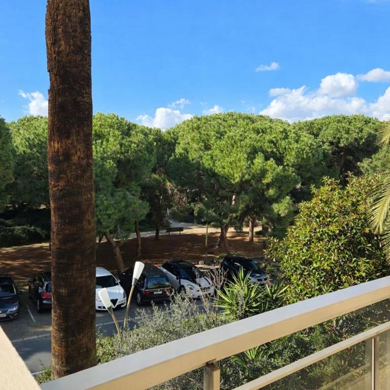 Les Terrasses de la Pinède, T3, 4P, Plage & Pinède - Appartement 2 Chambres - 29