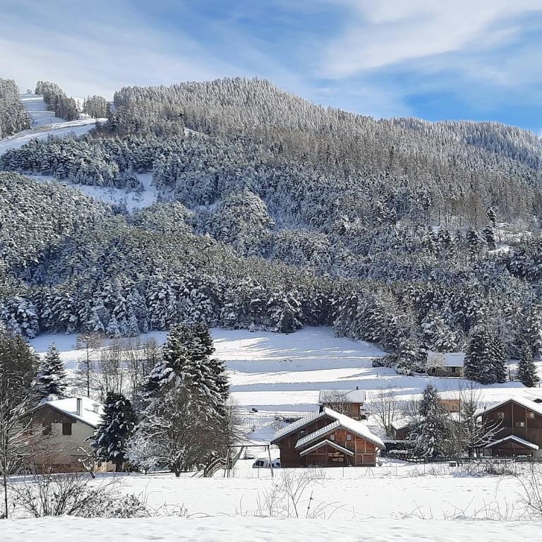 Ecrin de Valdeblore - Appartement 3 Chambres - 29