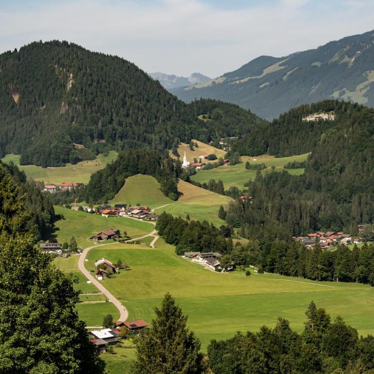 Sesselalpe - Apartment mit 1 Schlafzimmer - 14