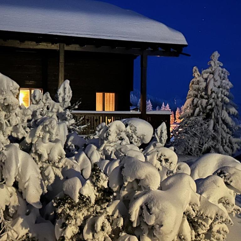 Chalet Iris - Ferien mit Alpenchic-Ambiente - Chalet - 1