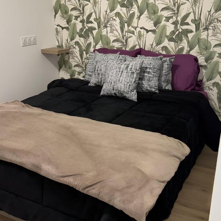 Confort au Mont-Dore & Animaux Admis - Appartamento con 1 Camera da Letto - 8