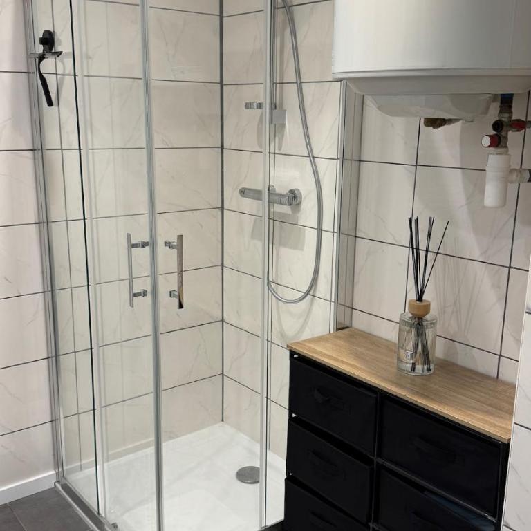 Confort au Mont-Dore & Animaux Admis - Appartamento con 1 Camera da Letto - 36
