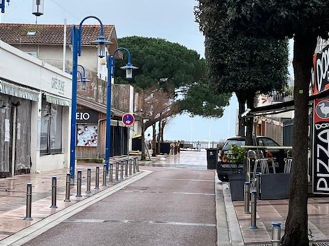 Duplex Le Colibri Esprit cabane - Appartement - 21