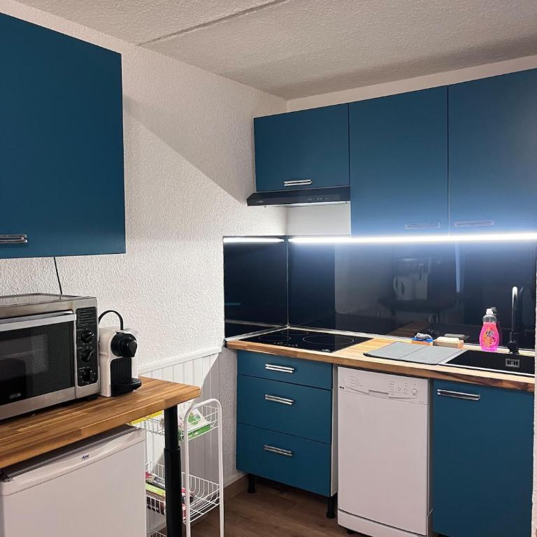 Hébergement pour 4pers à 2 pas des pistes de ski - Appartement 1 Chambre - 5