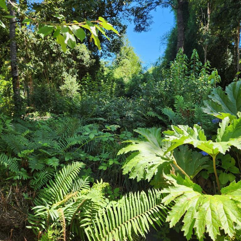 Cabaña de Iza, Sector Ensenada, Puerto Varas - Two-Bedroom Chalet - 29