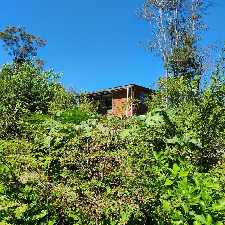 Cabaña de Iza, Sector Ensenada, Puerto Varas - Two-Bedroom Chalet - 28