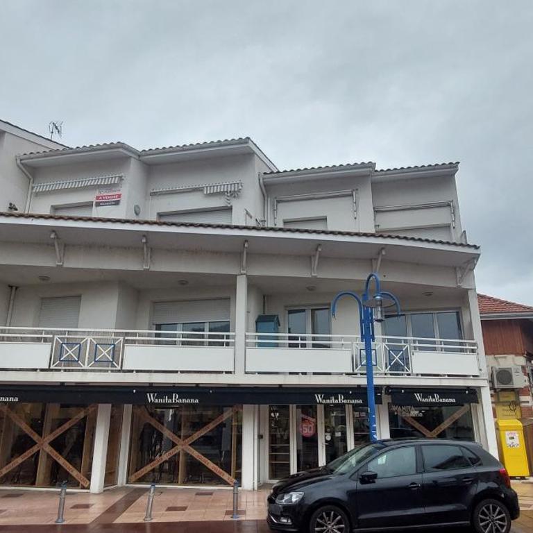 Duplex Le Colibri Esprit cabane - Appartement - 17