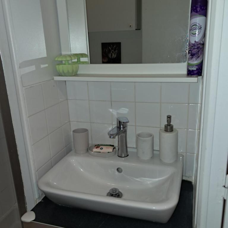 Charmant Nice apartment in central Paris location ! - Appartement 1 Chambre - 15