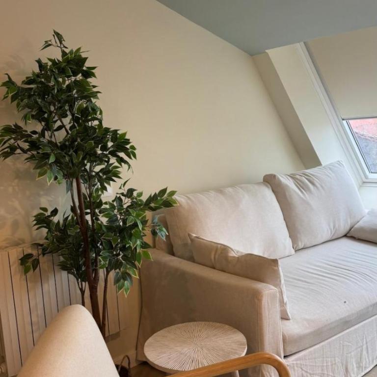Silgar Stays - Apartamento Superior de 1 dormitorio - 18