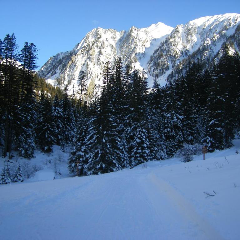 location meublé touristique - Studio - Vue sur Montagne - 37