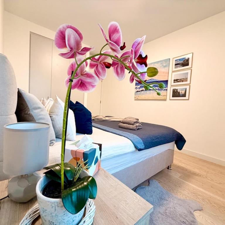 BW Station - relax & recharge! - One-Bedroom Apartment - 9