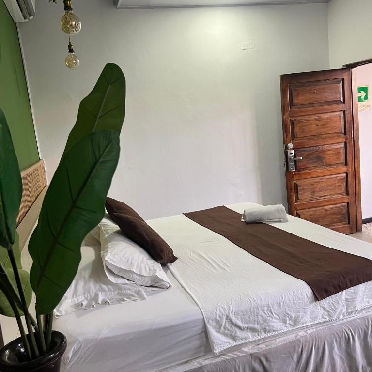 Santa Alejandría Hotel - Deluxe Queen Room - 7