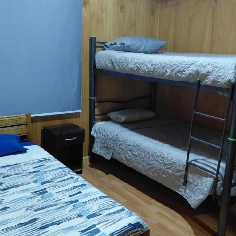 Casa en lago ranco - One-Bedroom House - 3