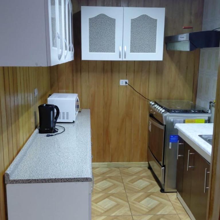 Casa en lago ranco - One-Bedroom House - 8