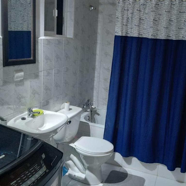 Casa en lago ranco - One-Bedroom House - 10