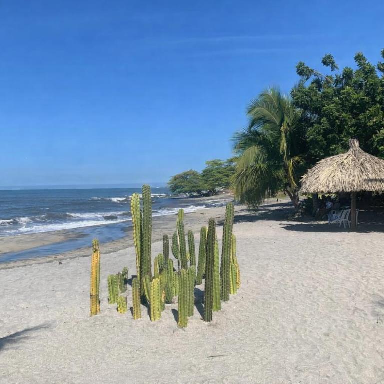Celeste Dream House, Santa Marta - One-Bedroom Premium Apartment with Ocean View - 11