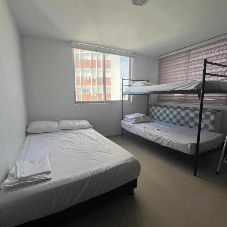 Apartment with ocean view, pool, Rnt 98583 - Apartment - 8
