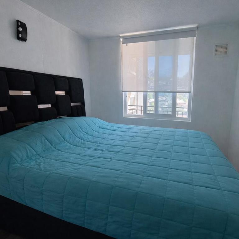 Vista Lago y Volcanes-Depto céntrico en Villarrica - Apartamento de 2 dormitorios con vistas al lago - 6