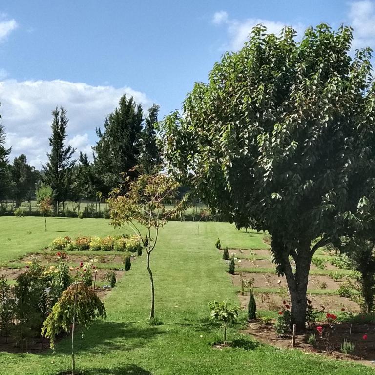 Regreso al Encanto - Double Room with Private Bathroom - 3
