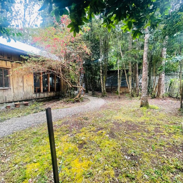Hermosa cabaña en el bosque - Two-Bedroom House - 5
