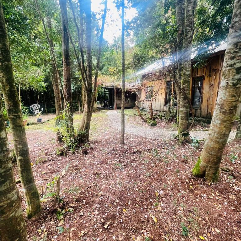 Hermosa cabaña en el bosque - Two-Bedroom House - 9