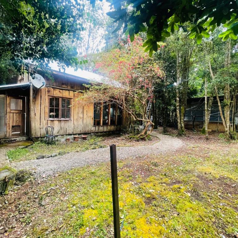 Hermosa cabaña en el bosque - Two-Bedroom House - 12