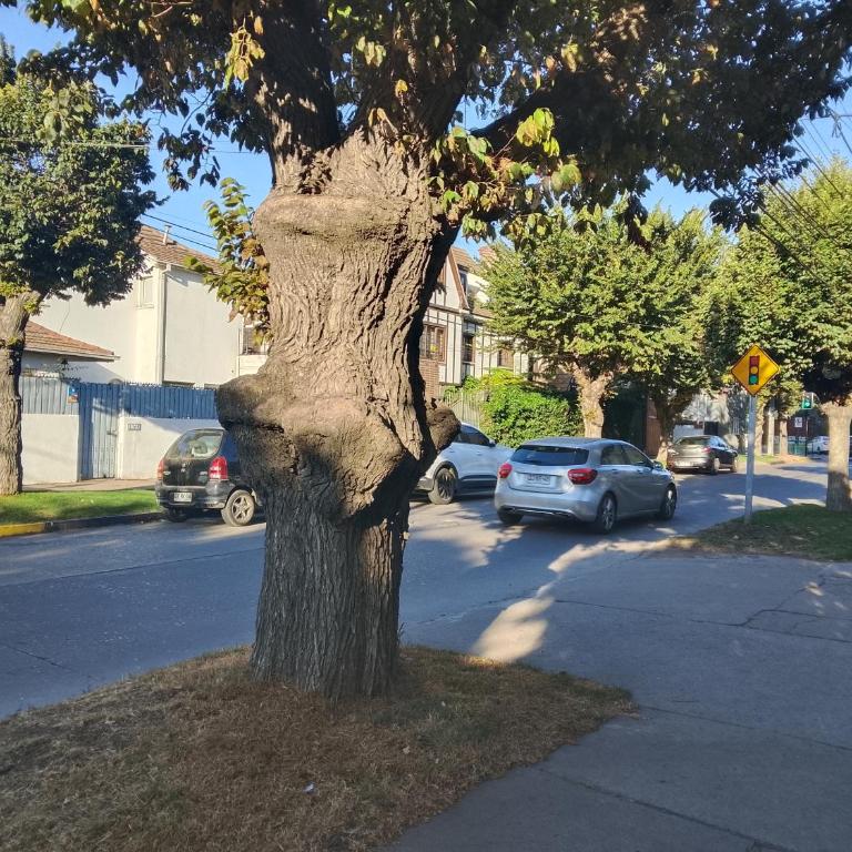 Departamento céntrico independiente muy acogedor en Viña del Mar con estacionamiento incluido - Apartment - 3