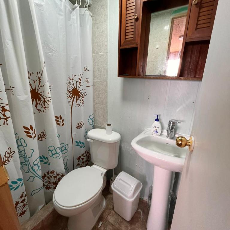Habitaciones centrales en Puerto Montt - Single Room with Private Bathroom - 3