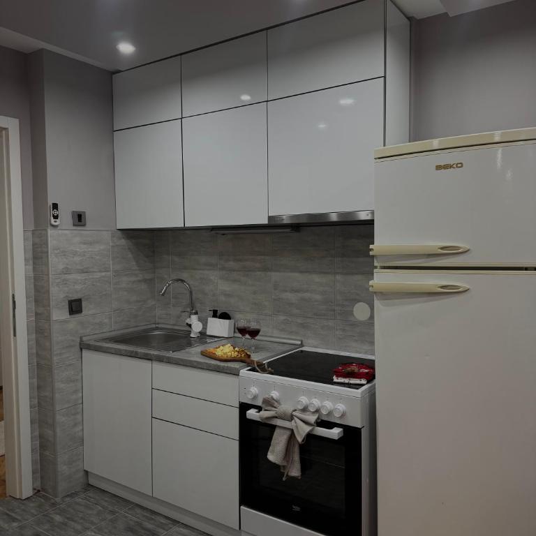 Luksar Apartment Niš - Apartman sa 1 Spavaćom Sobom - 11