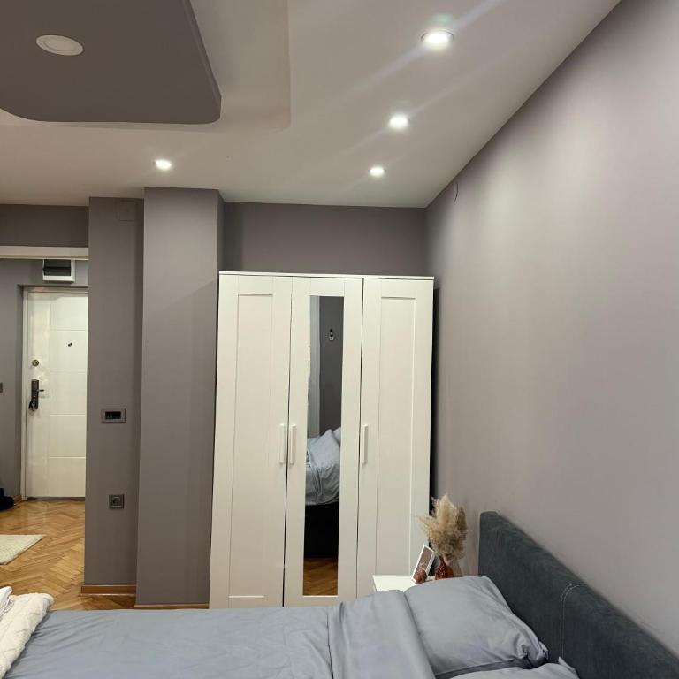 Luksar Apartment Niš - Apartman sa 1 Spavaćom Sobom - 5