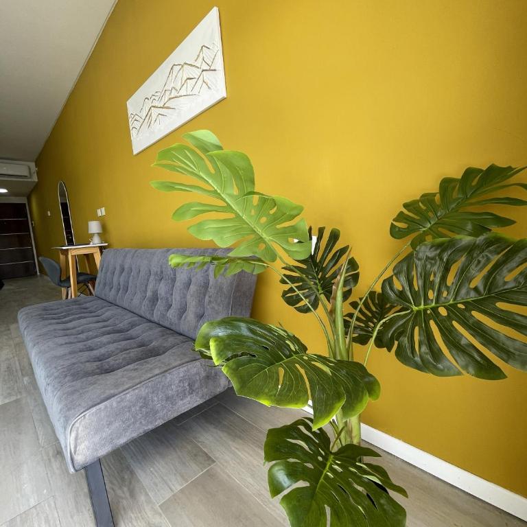 Departamentos Belgrano - One-Bedroom Apartment - 3