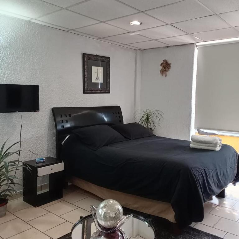 Suite Vista Reforma - Suite Executive - 20