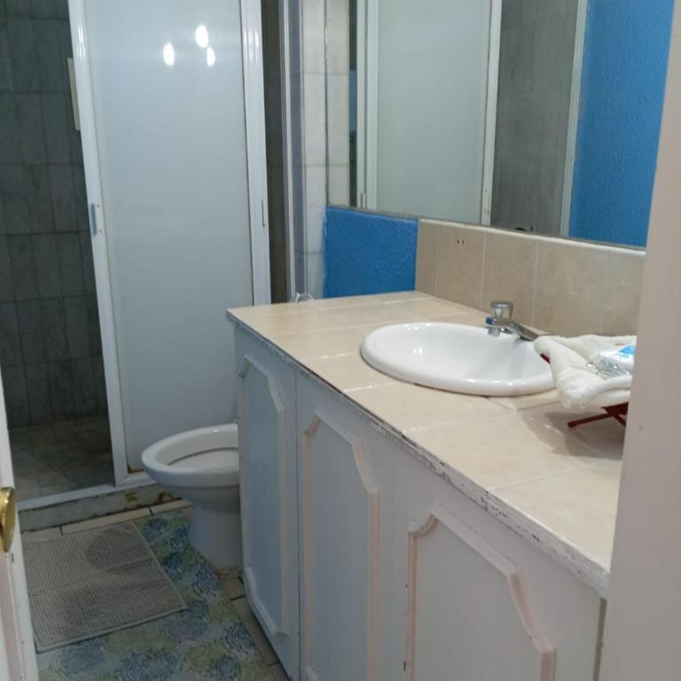 Suite Vista Reforma - Suite Executive - 22