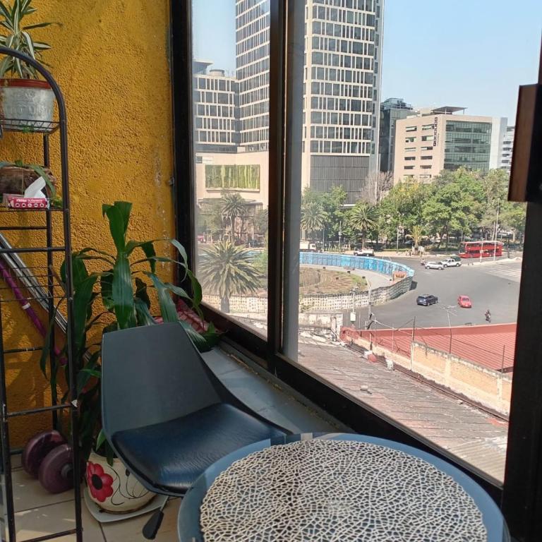 Suite Vista Reforma - Suite Executive - 17