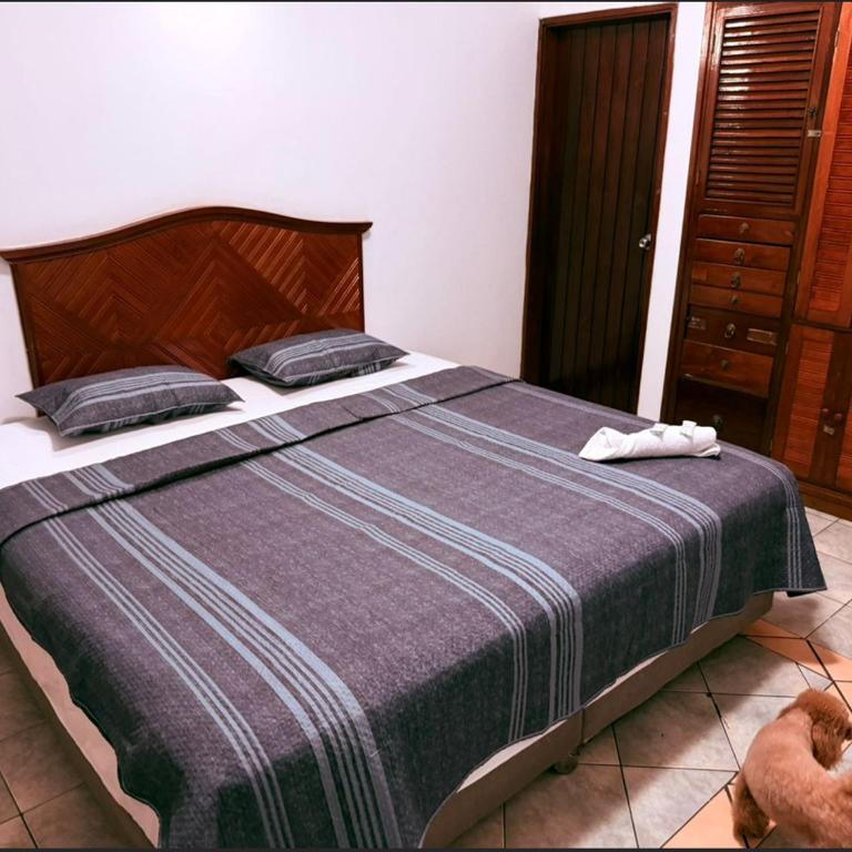 Kaenla House & Apartments - Queen Suite with Pool View - 7