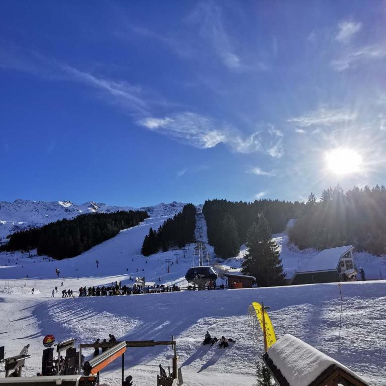 Charmant 2 pièces cabine, au pied des pistes de Prapoutel, balcon sud-est, ascenseur, 6 pers - Appartement 1 Chambre - 13
