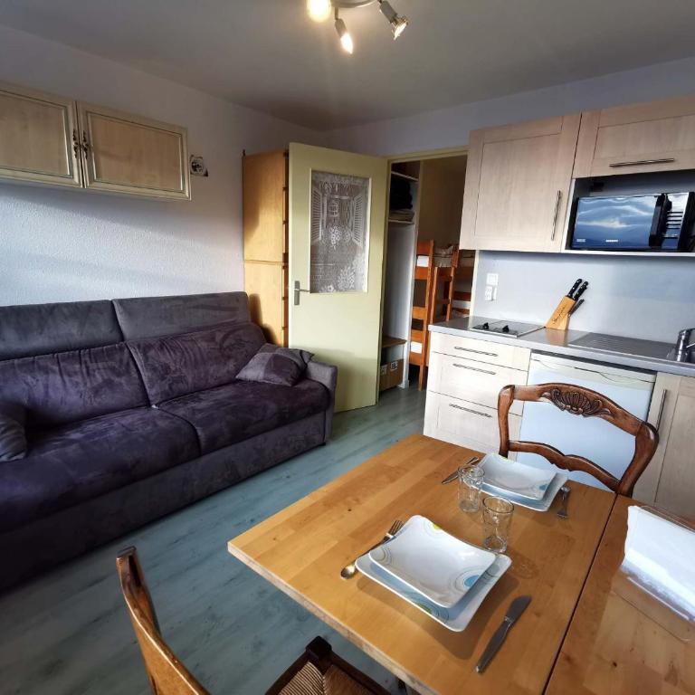 Studio cabine calme proche pistes ski, Les Adrets-Prapoutel - Appartement 1 Chambre - 1