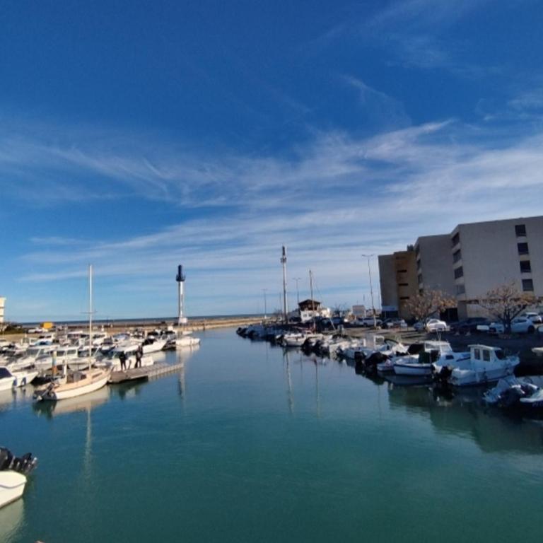 Appartement T2 Lumineux 37m², Plage & Port, 4 Personnes, Narbonne-Plage - FR-1-795-72 - Apartment - 17