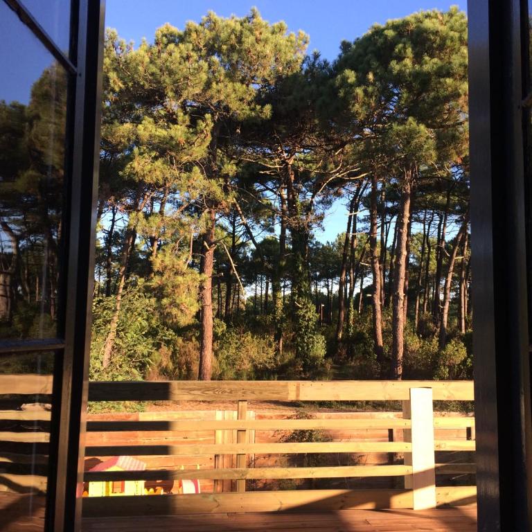 Villa Welcome - Ferienhaus - 12
