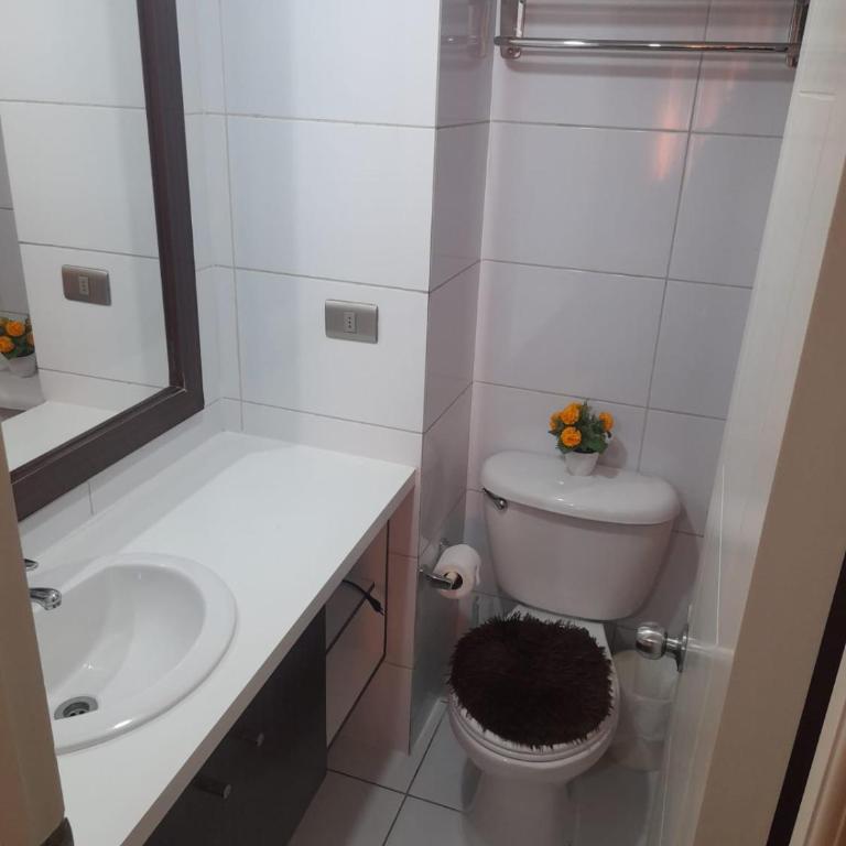 Abismos de Amor - One-Bedroom Apartment - 5