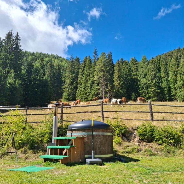 Almhütte Prem 1 - Chalet mit 2 Schlafzimmern - 23