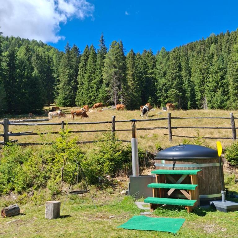 Almhütte Prem 1 - Chalet mit 2 Schlafzimmern - 24