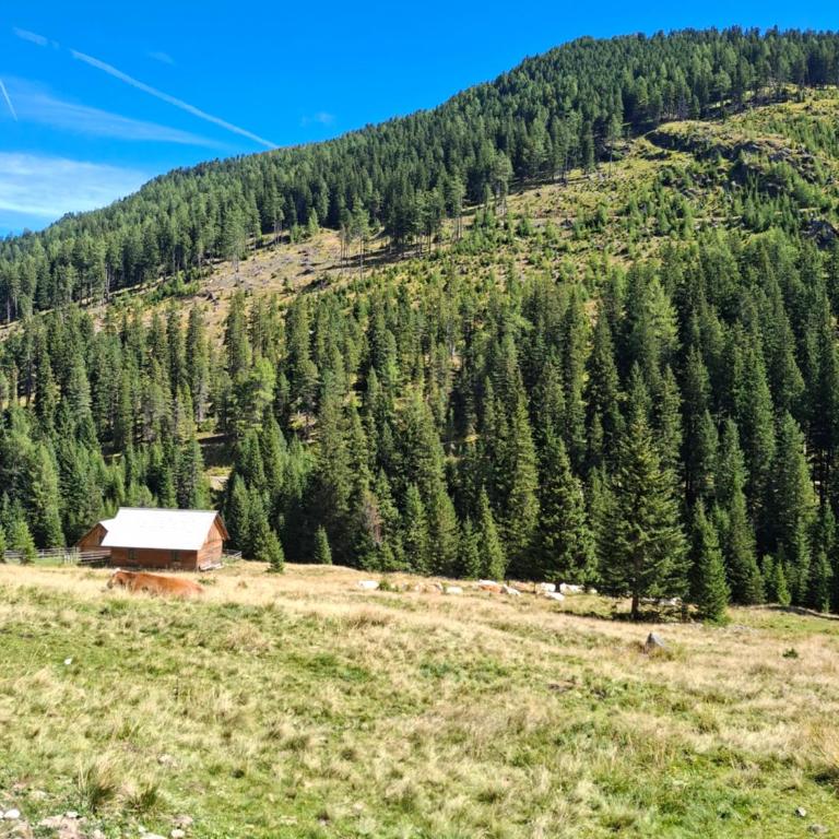 Almhütte Prem 1 - Chalet mit 2 Schlafzimmern - 25