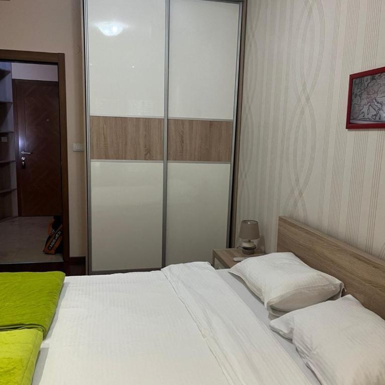 Central Podgorica Suite - Apartman sa 1 Spavaćom Sobom - 4