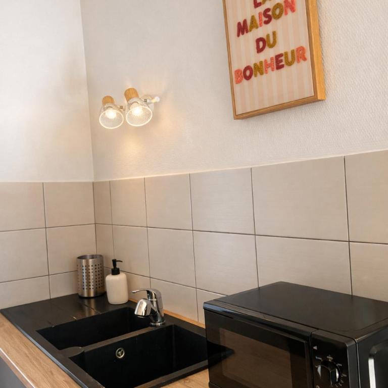 Appartement 4 personnes 5 minutes a pieds du centre ville parking gratuit jardin 85m2 - Appartement 1 Chambre - 10