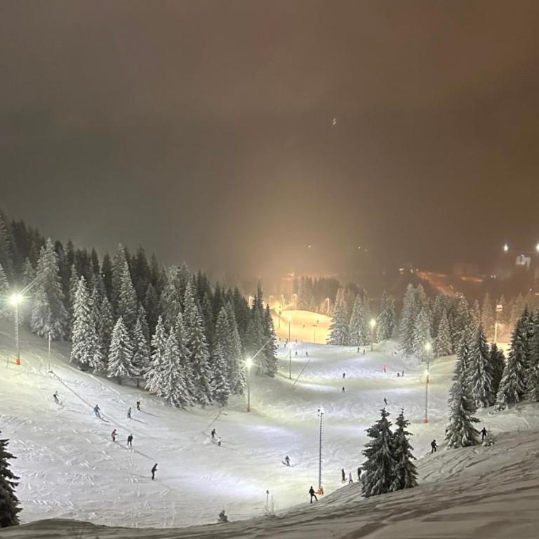 Mraz - One-Bedroom Apartment - 7